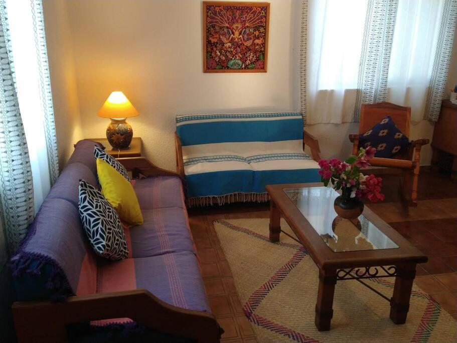 Lush Garden House Near Beaches With Private Pool. ปูแอร์โตเอสกอนดิโด ภายนอก รูปภาพ